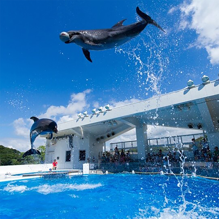 【水族館チケット付き】NET限定！　リゾート＆アクティブプラン【朝食付】