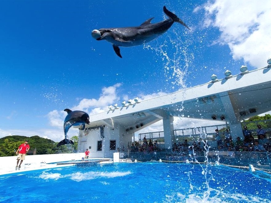 【全客室リニューアル！】NET限定！リゾート＆アクティブプラン【水族館チケット＆朝食付】