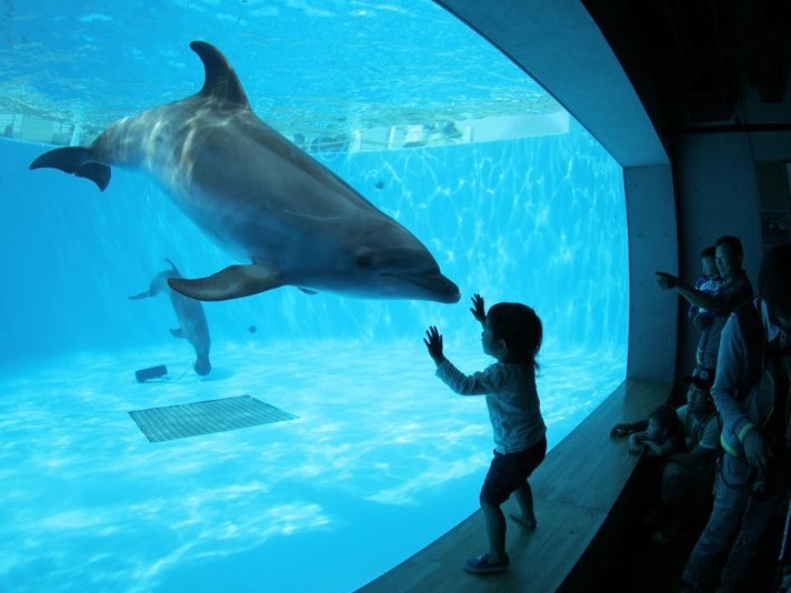 パールシーリゾート　水族館