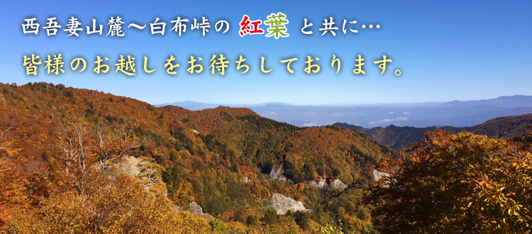 写真1