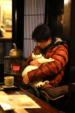 写真6