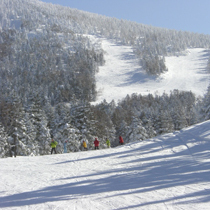 Tengendai Ski Resort for Plans (Hakuba)