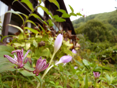 写真4