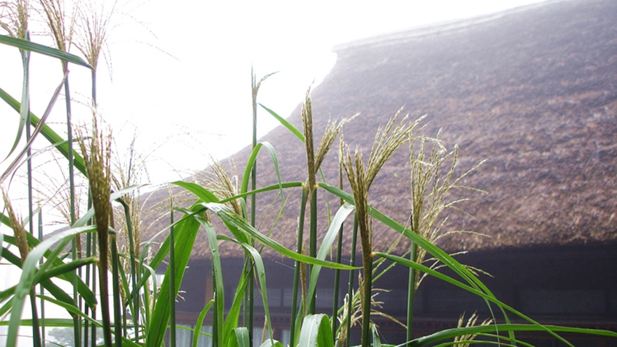 *茅葺屋根とすすき