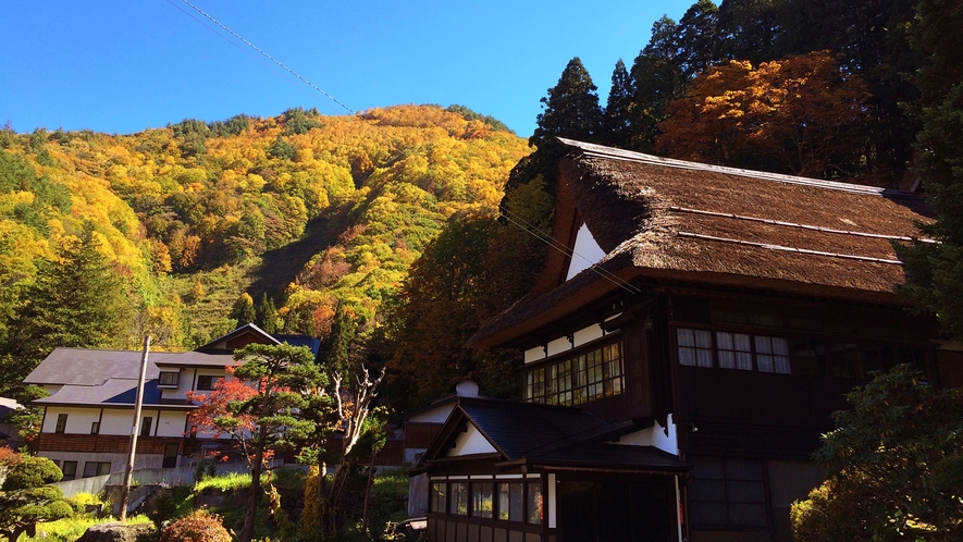 *紅葉と西屋