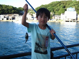 魚釣り風景