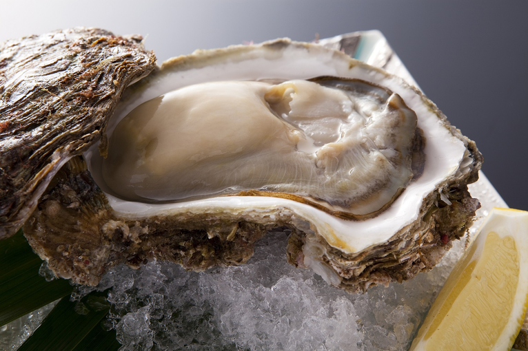 【2026年お盆宿泊】山陰産の厳選食材・旬の食材を少しずつ「特選月替わり会席」／個室食事処