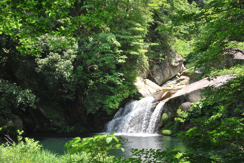 【橋津屋大人気プラン】お得に山陰の味覚を愉しむ♪「鳥取牛フィレステーキ会席」／個室食事処