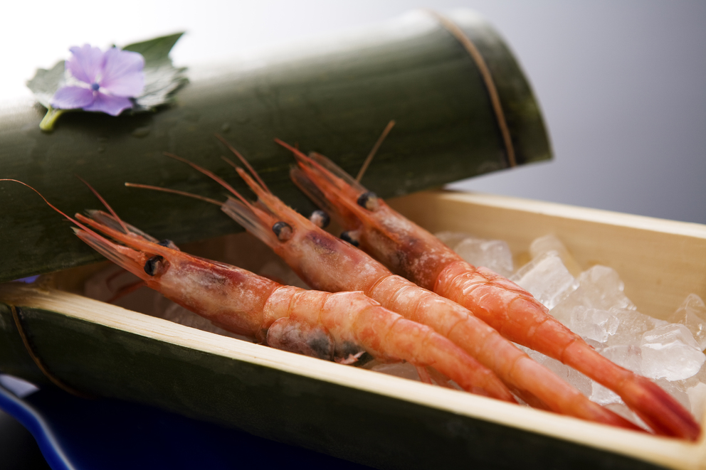 【2026年GW宿泊】山陰産の厳選食材・旬の食材を少しずつ「特選月替わり会席」／個室食事処