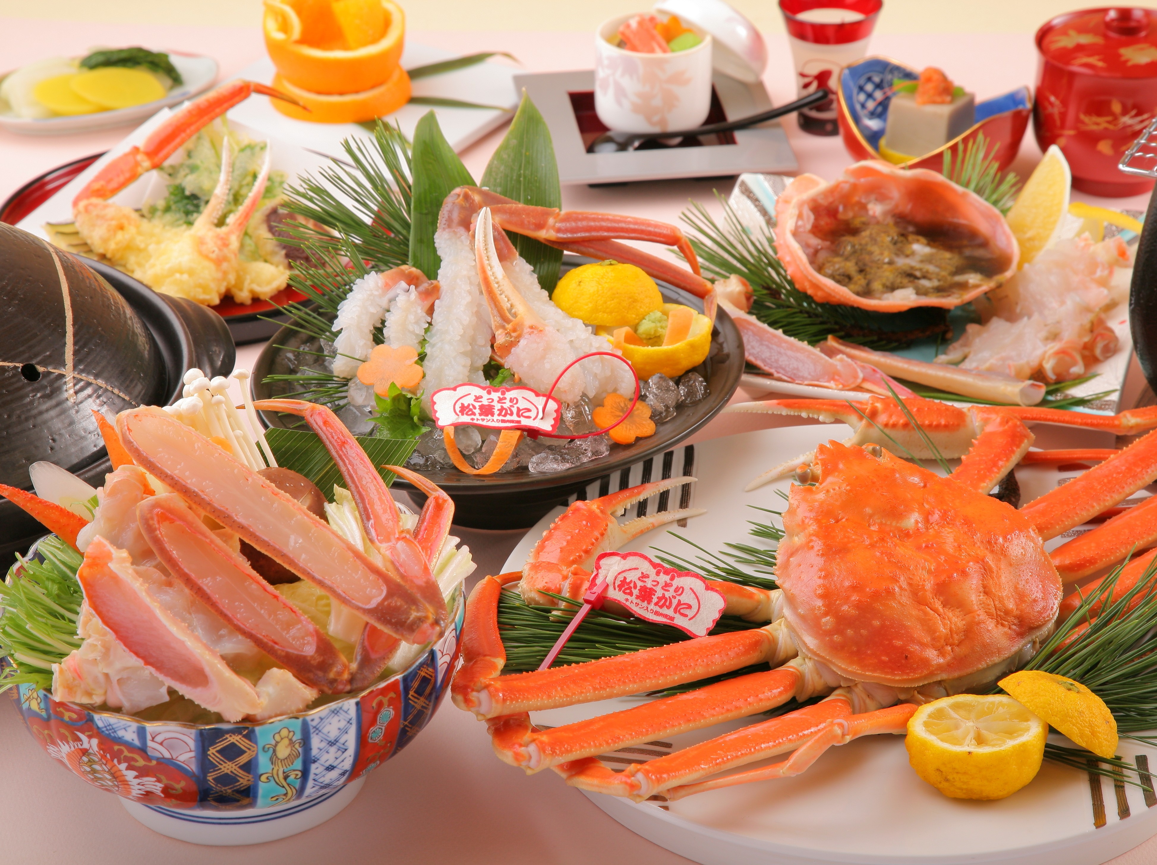 三朝温泉 木造りの宿 橋津屋 - 写真 100