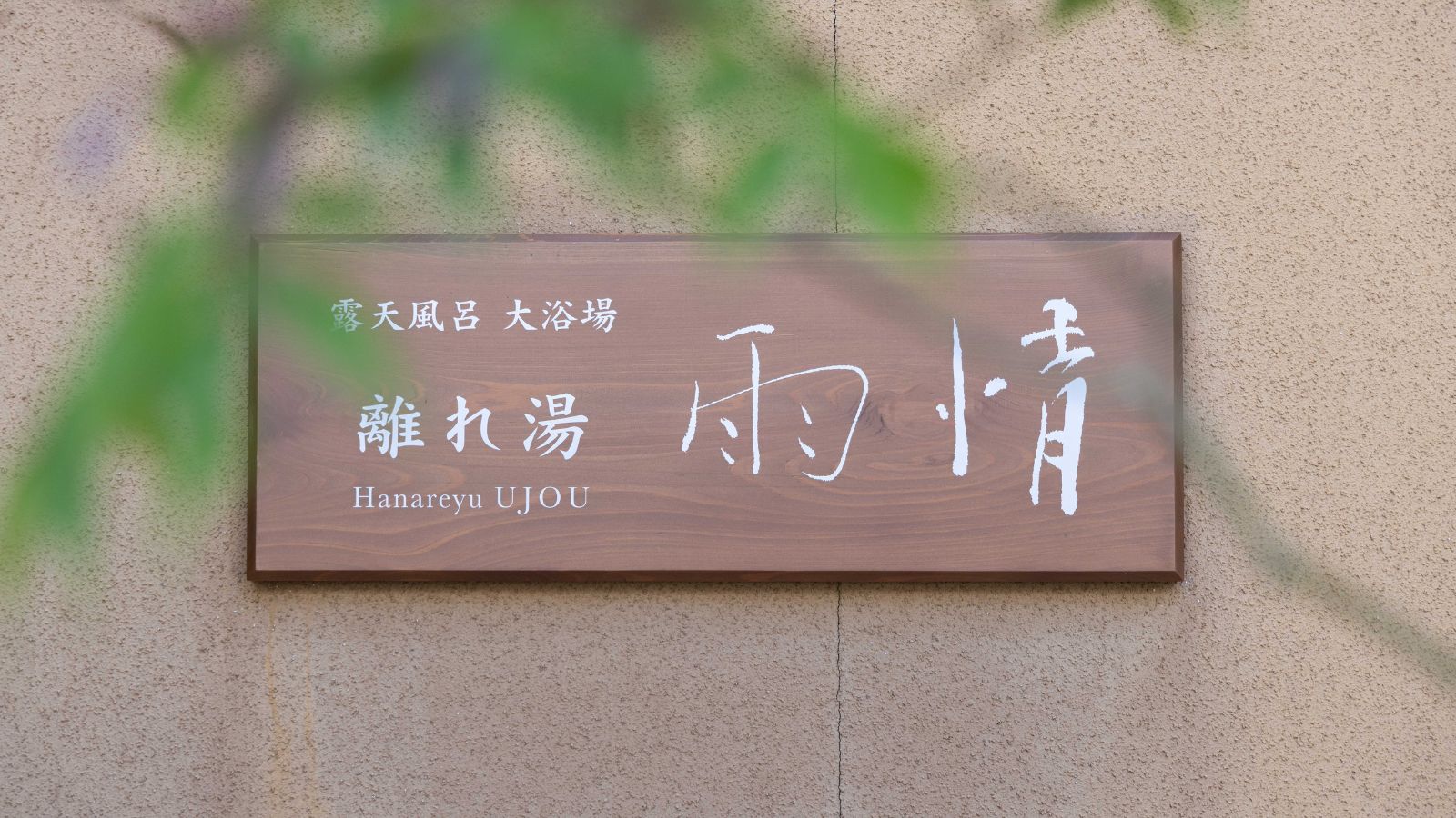 三朝温泉 木造りの宿 橋津屋 - 写真 74