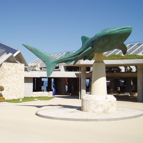 美ら海水族館