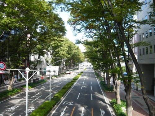 コンフォートホテル前橋 - 写真 146