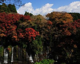 白糸の滝の紅葉