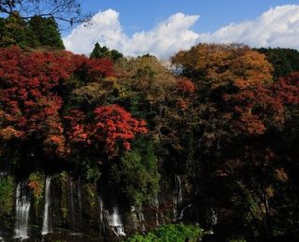 白糸の滝の紅葉