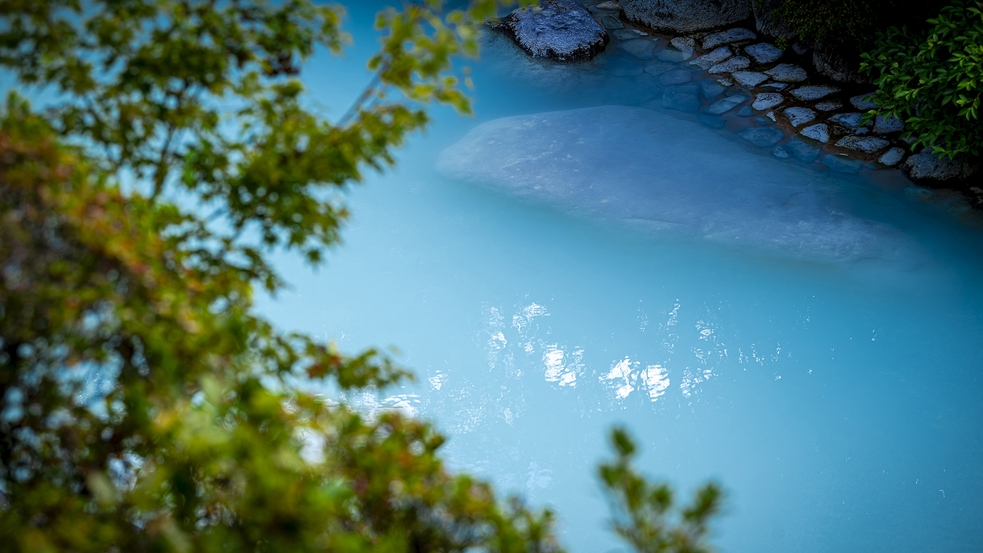 【GW限定】特別料理でおもてなし★味覚堪能プラン