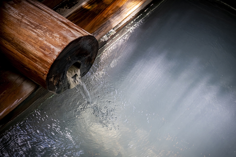 歴史ある名湯で癒しのひととき  素泊まりプラン　≪お食事なし≫
