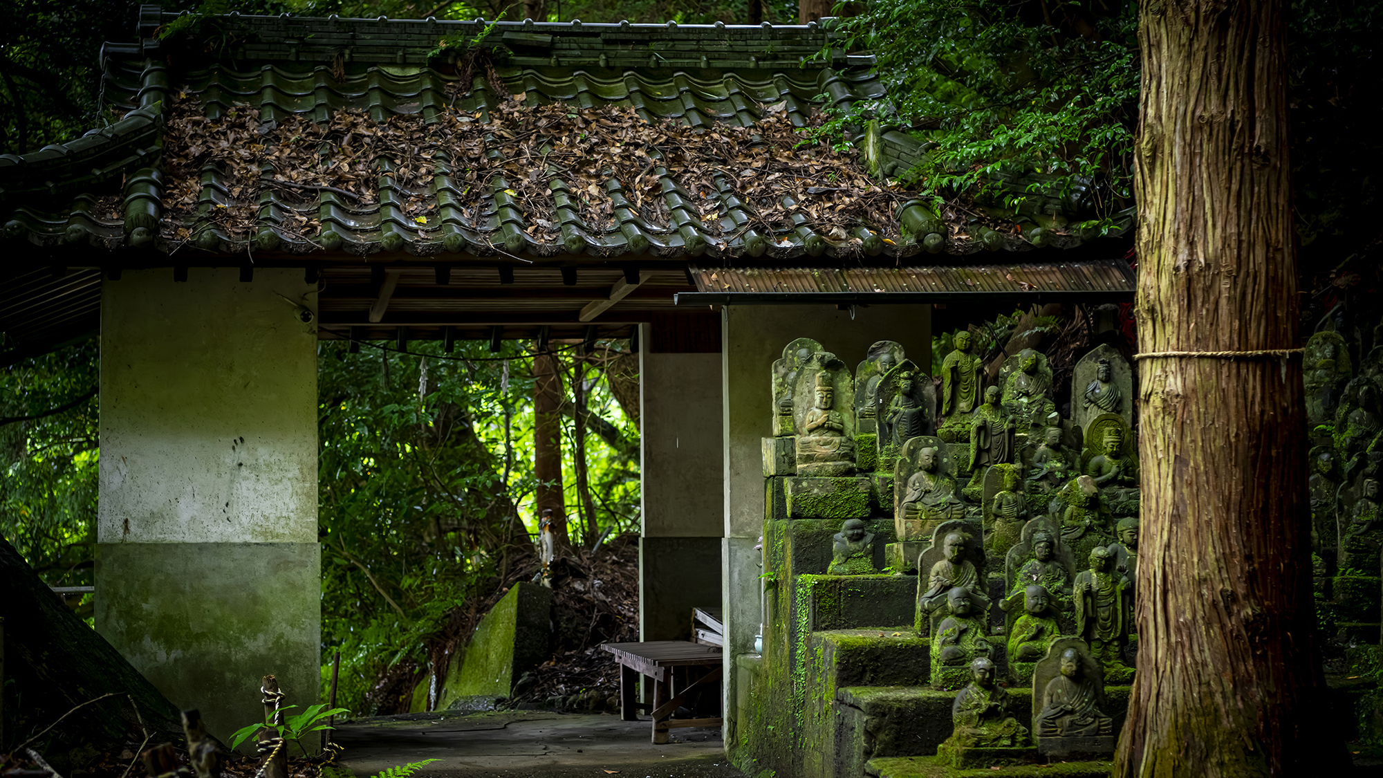 明礬八十八ヶ所