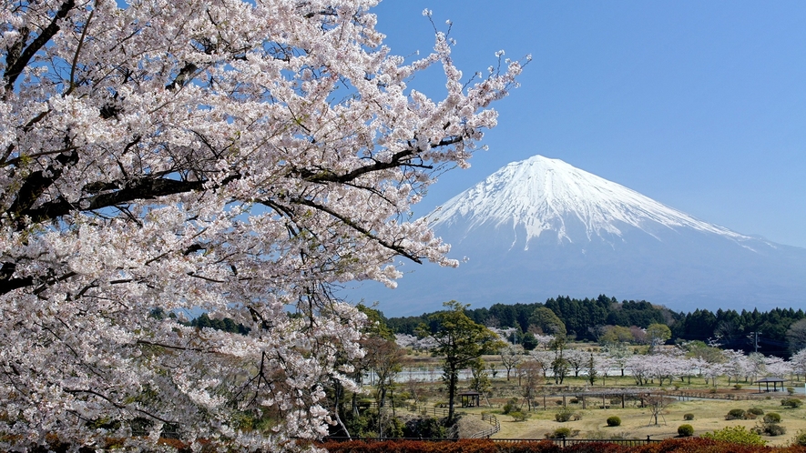 *【周辺】天気の良い日には美しい富士山が見えるスポットも。