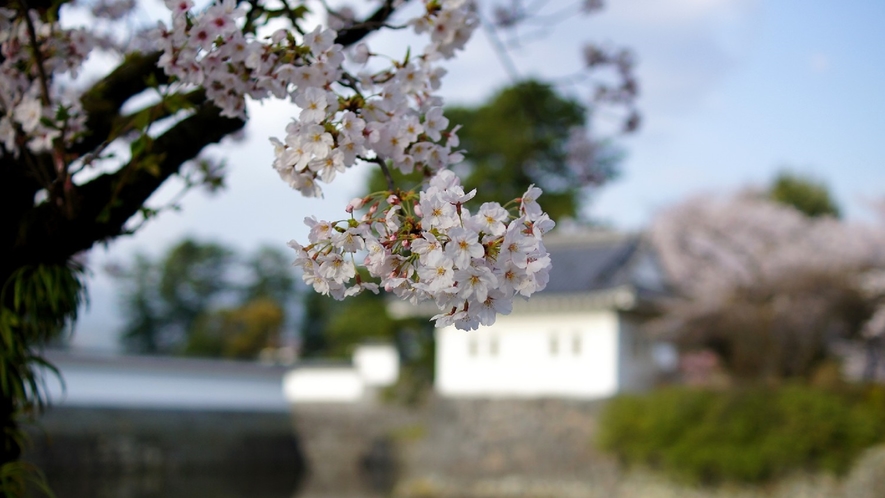 *【周辺】箱根は桜の見ごろが長く、春の風景をゆっくりと楽しめます。
