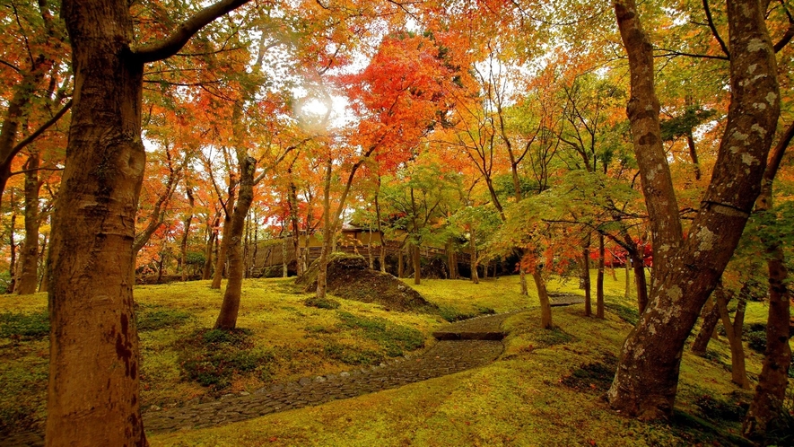 *【周辺】庭園を美しく彩る箱根美術館の紅葉。