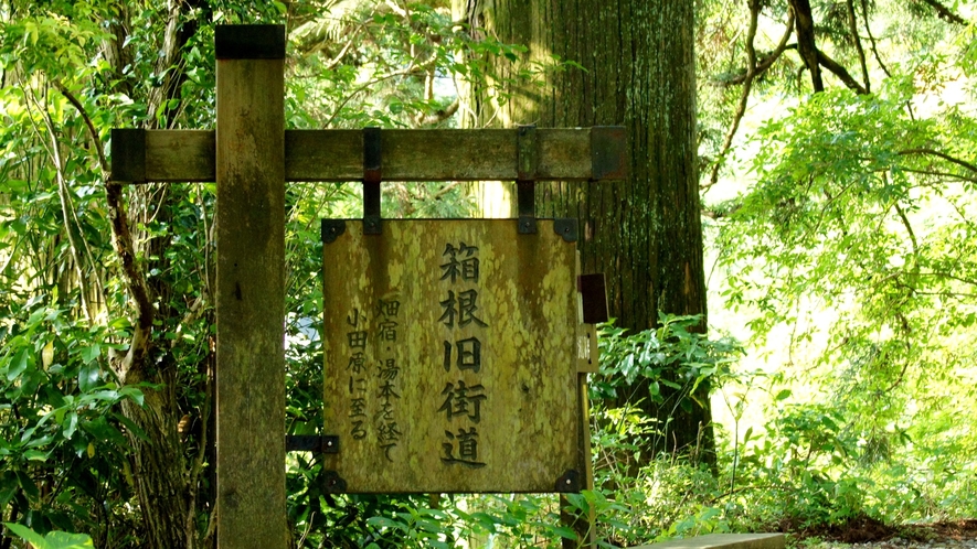 *【周辺】歴史に触れながら石畳を巡る箱根旧街道