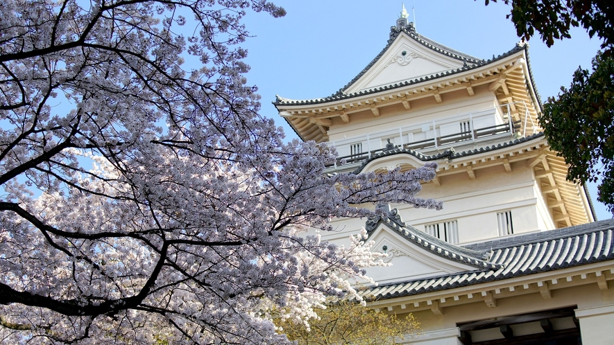 *【周辺】桜の季節に映える小田原城。