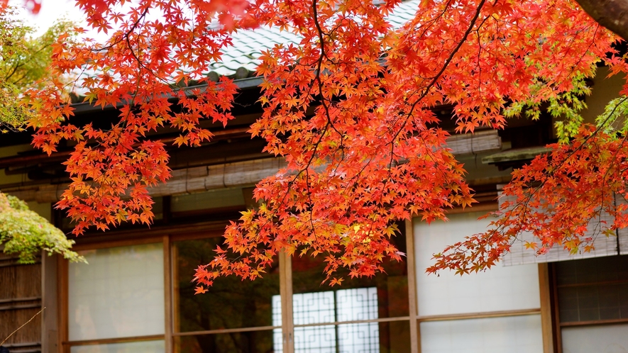 *【周辺】箱根美術館は紅葉の名所として人気のスポットです。