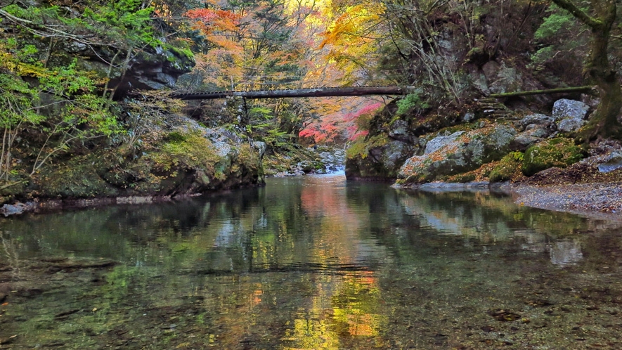 *小田深山の紅葉　紅葉の遊歩道をゆっくり散策。20種類以上の紅葉で彩られます！