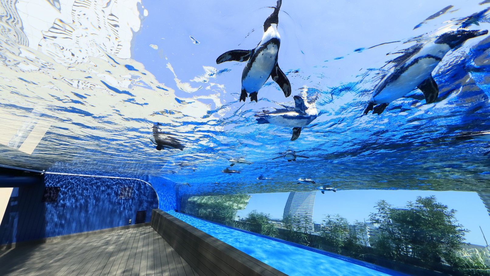 【ネット限定】サンシャイン水族館チケット付きプラン≪素泊まり≫