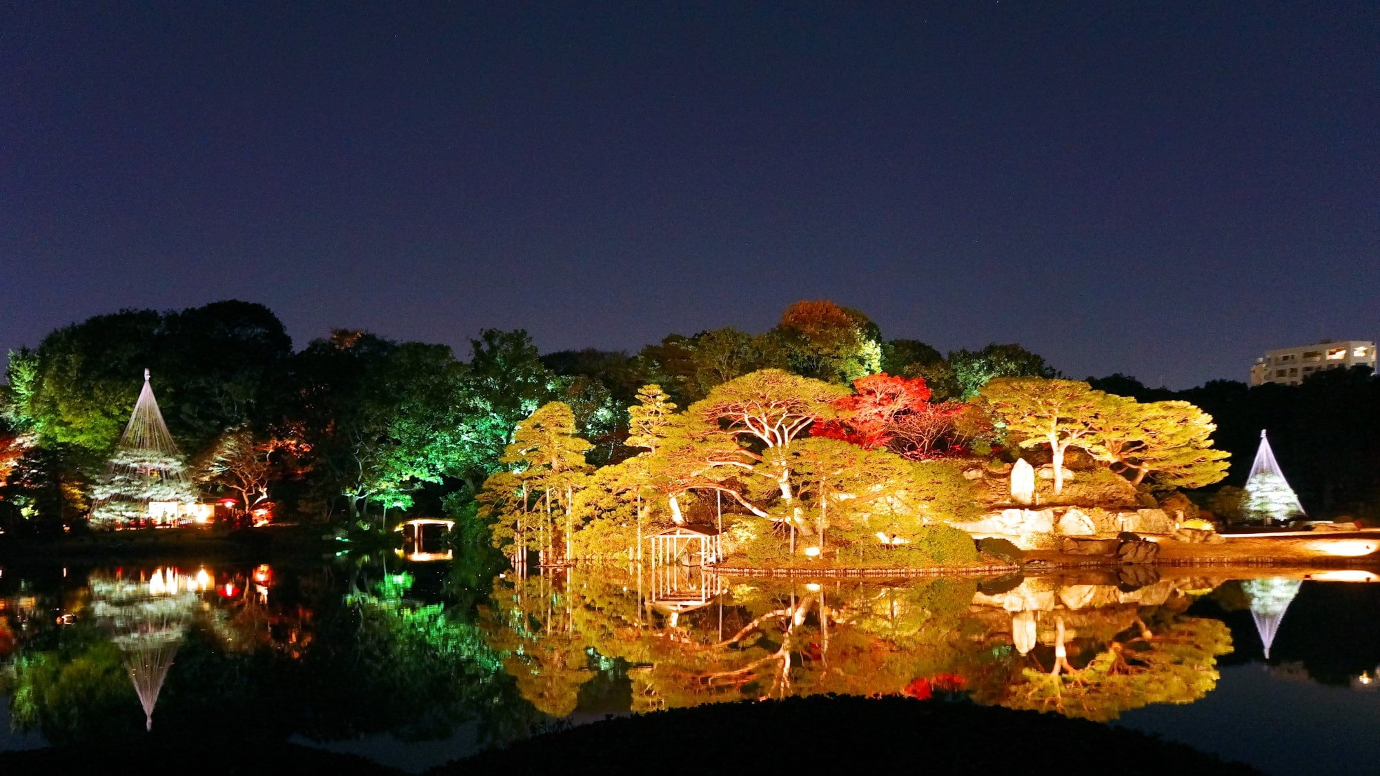 【六義園/秋】六義園の紅葉ライトアップ（池袋駅から3駅）