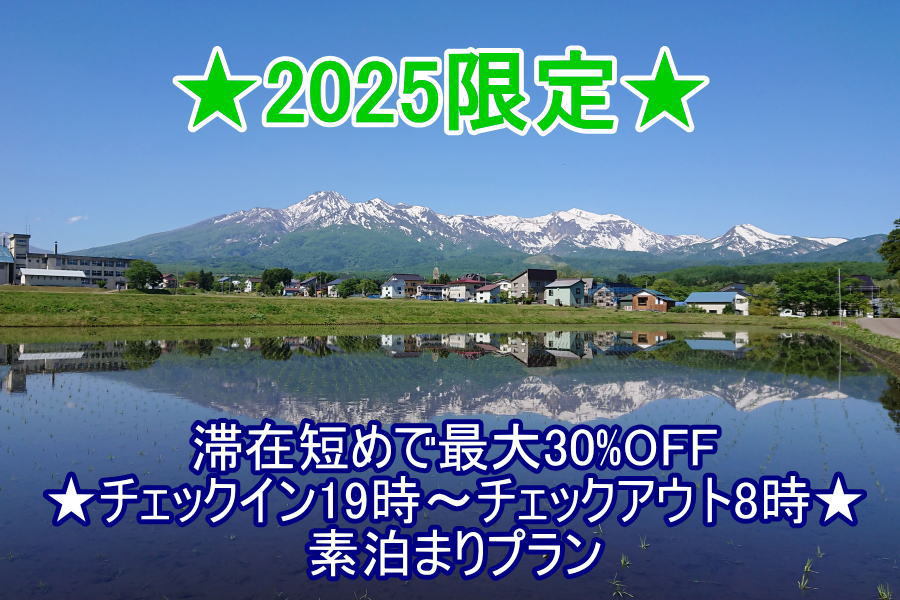 ★2025限定★滞在短めで最大30％OFF★チェックイン19時〜チェックアウト8時★素泊まりプラン