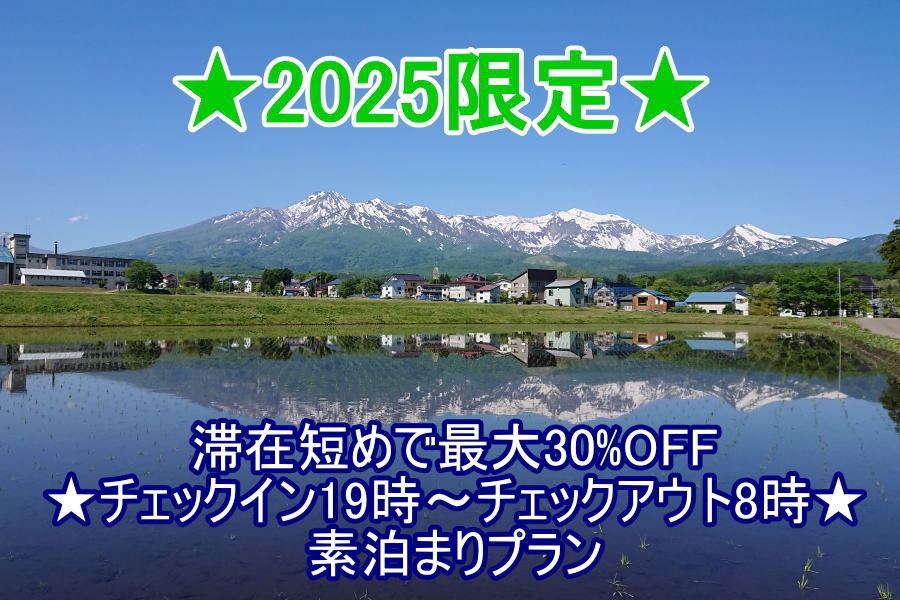 ★2025限定★滞在短めで最大30％OFF★チェックイン19時〜チェックアウト8時★素泊まりプラン