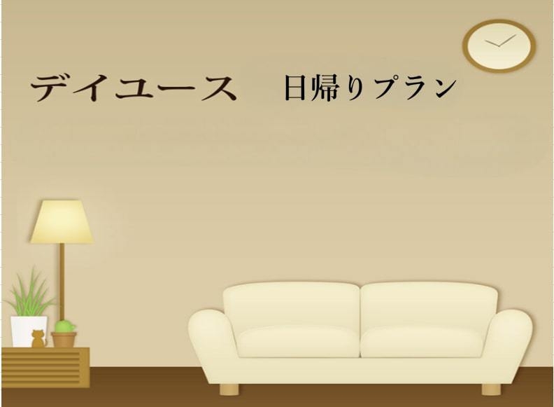 【日帰り8時間プラン】9:00〜17:00の間で最大8時間滞在プラン！　♪WI-FI無料♪