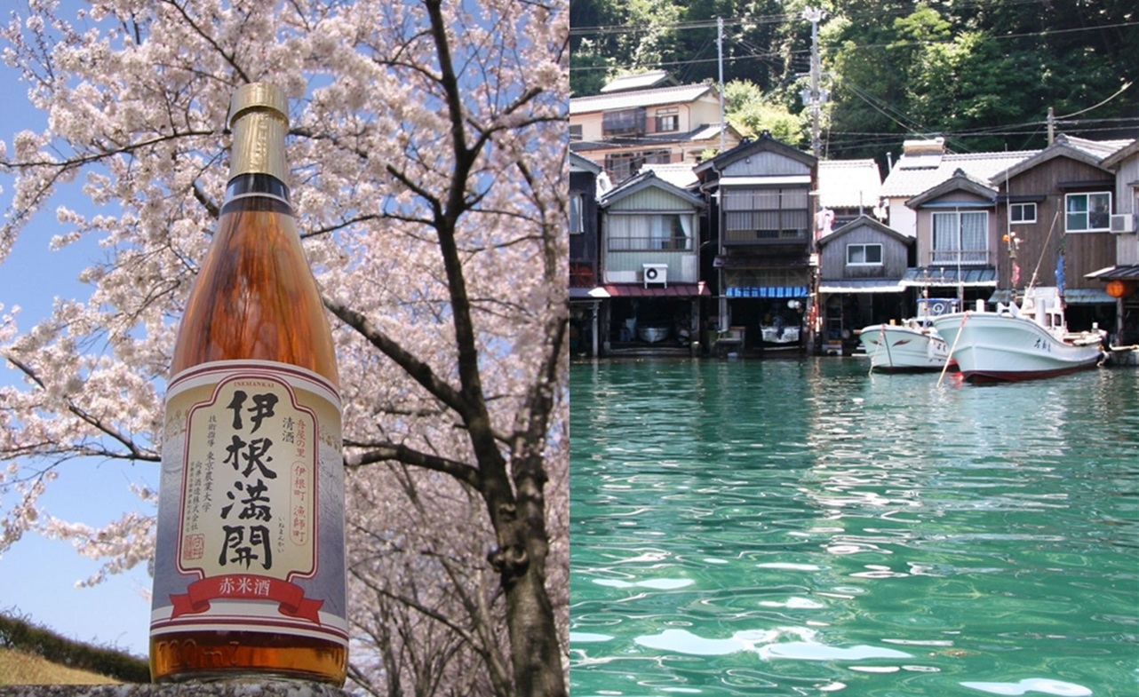 【春限定】地酒「伊根満開」付き　丹後の味覚を楽しむオールインクルーシブ〈夕朝食・ラウンジ付〉