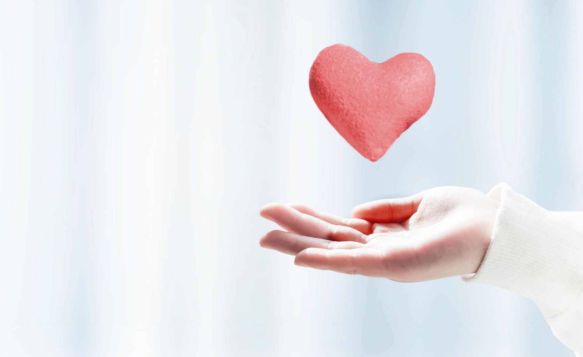 12月限定【降雪なら当日キャンセル無料】海の京都のオールインクルーシブプラン＜夕朝食・ラウンジ付＞