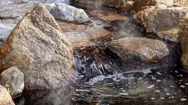 【クリスマスプラン】シャンパン付ジュニアスイートでプレミアムステイ＜夕朝食・ラウンジアクセス付＞