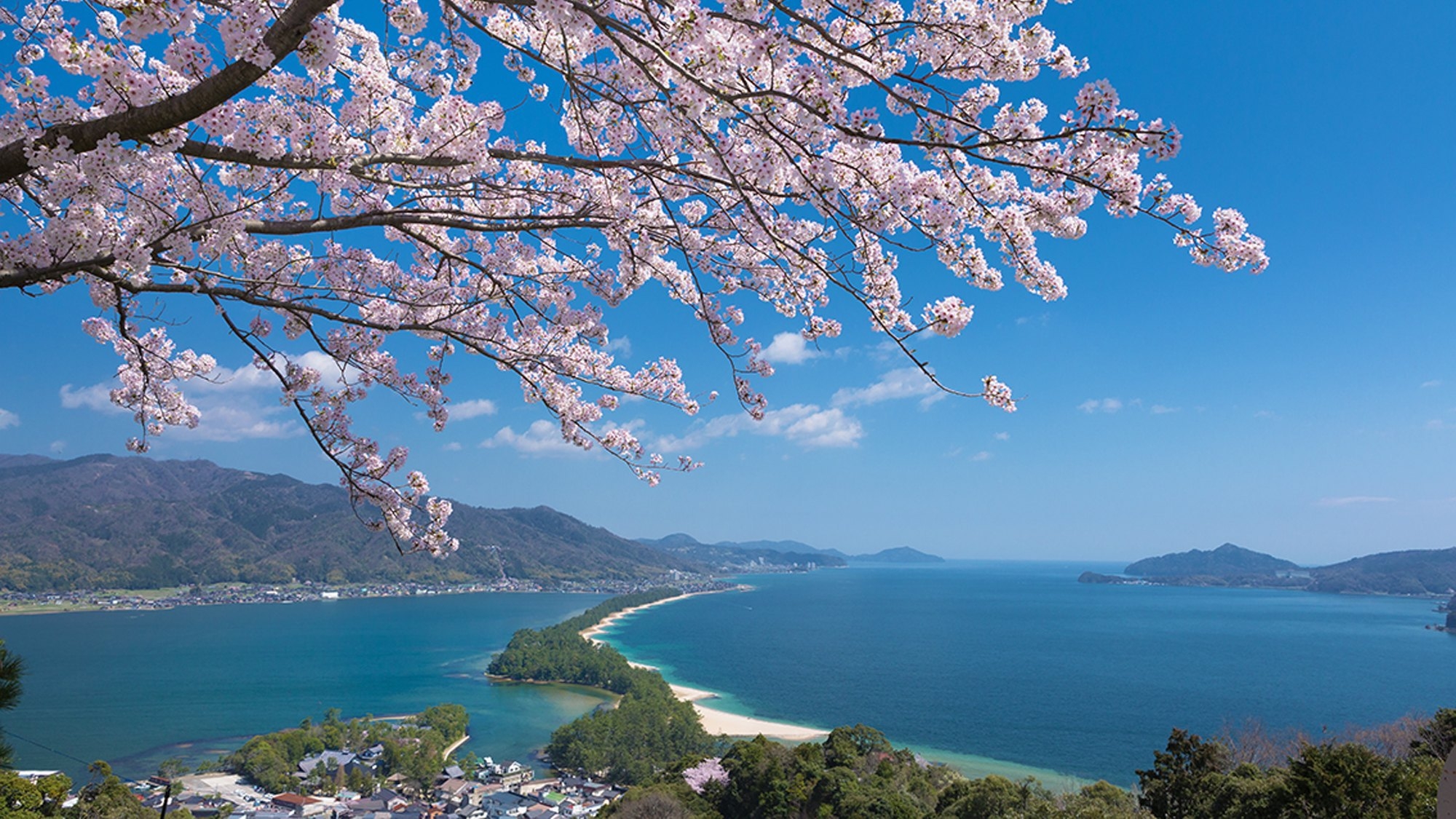 【春限定】地酒「伊根満開」付き　丹後の味覚を楽しむオールインクルーシブ〈夕朝食・ラウンジ付〉