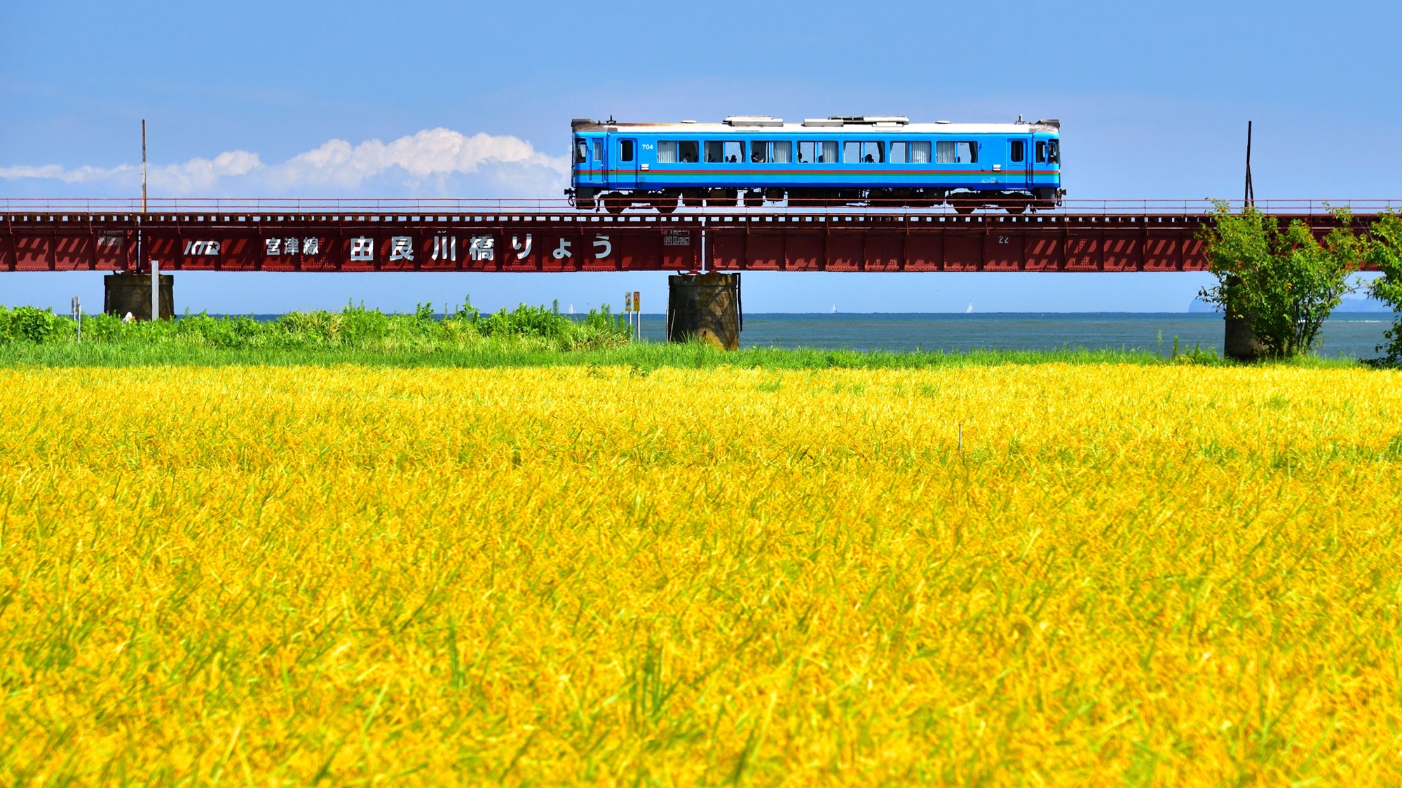 由良川　秋の実り