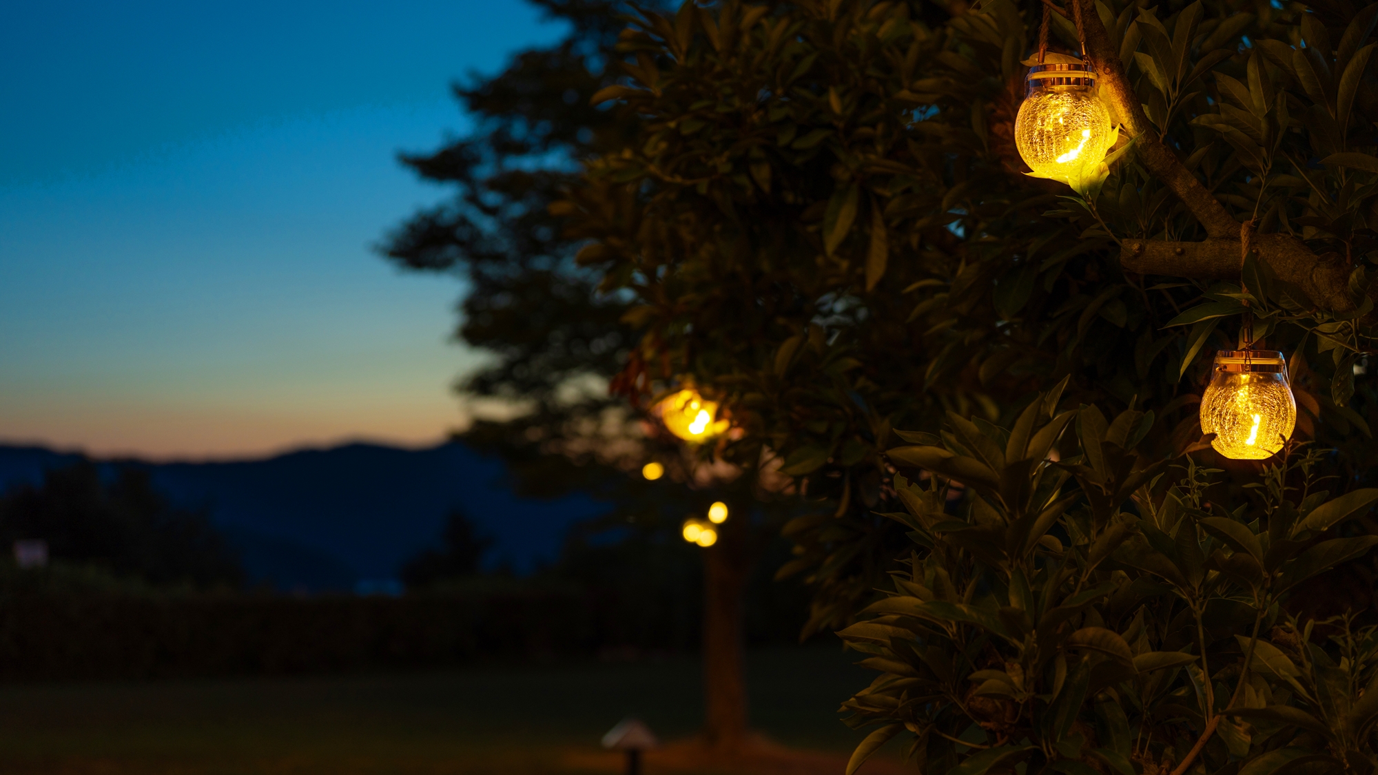 ガーデンイメージ