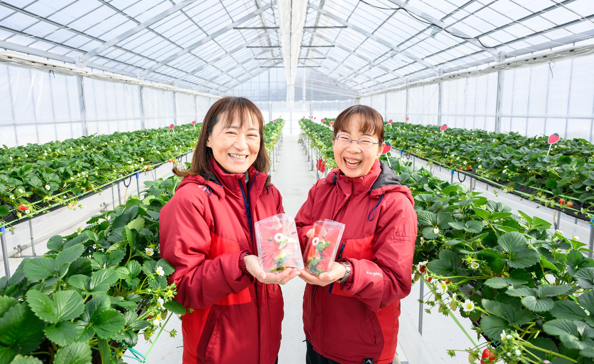 ロイヤルストロベリーパークは専門スタッフが管理しております。