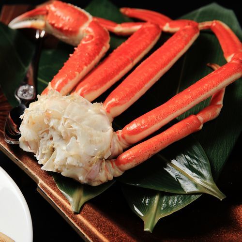 三谷温泉　ホテル三河　海陽閣 - 写真 79