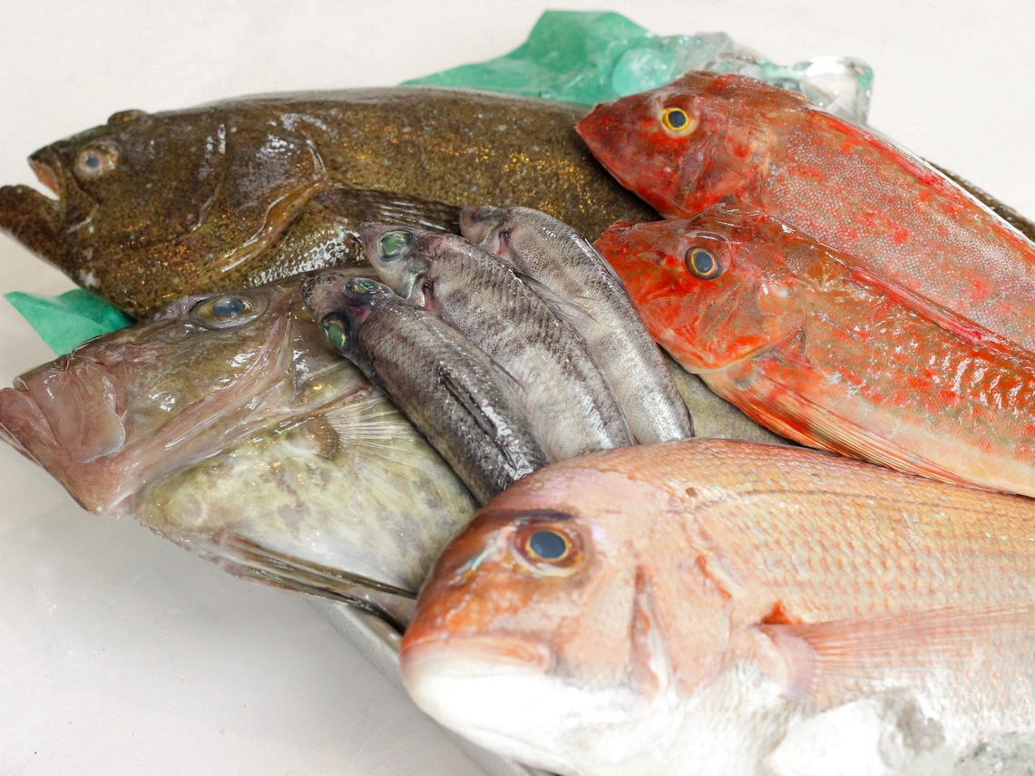 【１泊夕食】お任せ魚料理プラン【本館】