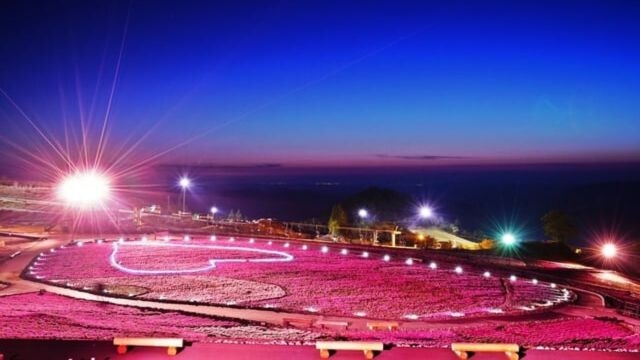 【2026.4/25〜5/31】春・新緑と深緑を愛でる　芝桜シーズン限定！春色ビュッフェ