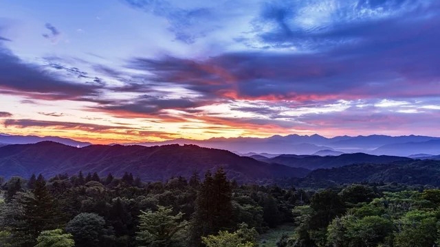 【2026.6/1〜7/17】プレミアム高原ビュッフェ