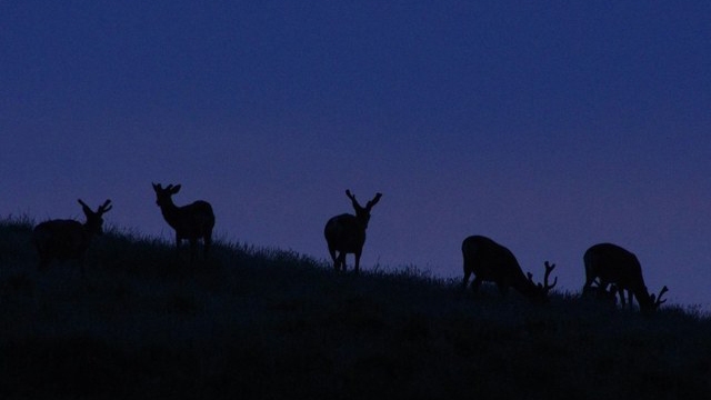 【2026/3/1〜3/31】木のぬくもりを感じる自然と調和した空間“和洋室”に泊まろう！
