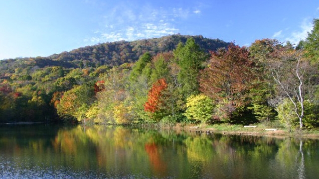 休暇村 茶臼山高原 宿泊プラン一覧 楽天トラベル 休暇村 茶臼山高原 宿泊プラン一覧 楽天トラベル