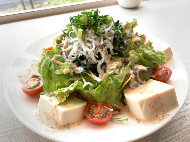 沼津野菜と豆腐のサラダ