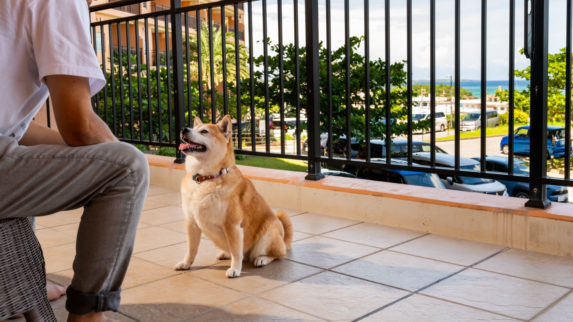 ■コンド棟　ドッグフレンドリー