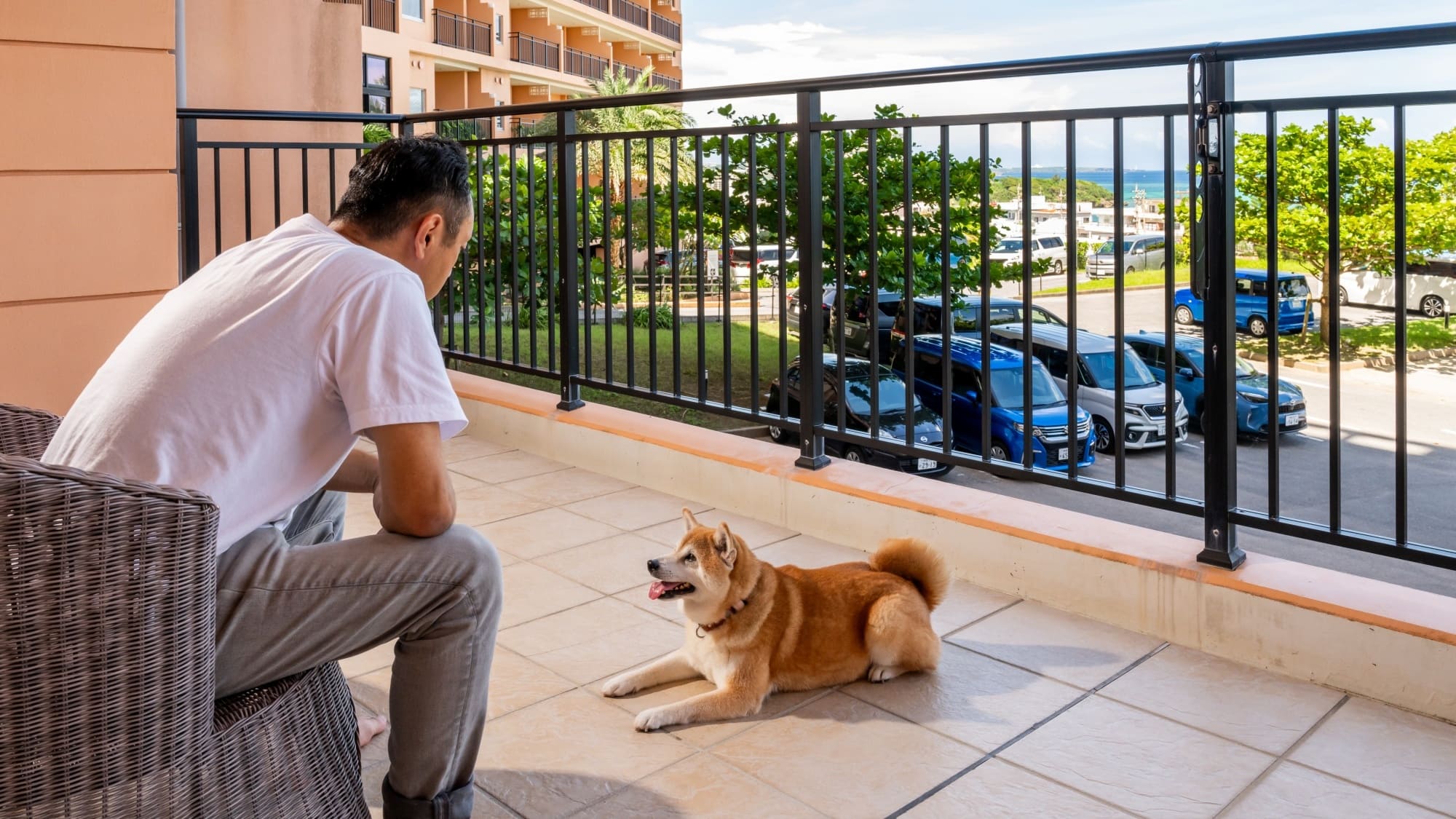 コンド棟　ドッグフレンドリー